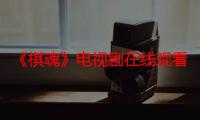 《棋魂》电视剧在线观看_免费全集完整版-影视大全