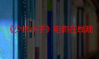 《少林小子》电影在线观看_免费高清完整版-影视大全