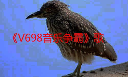 《V698音乐争霸》歌唱大赛广州番禺圆满举行