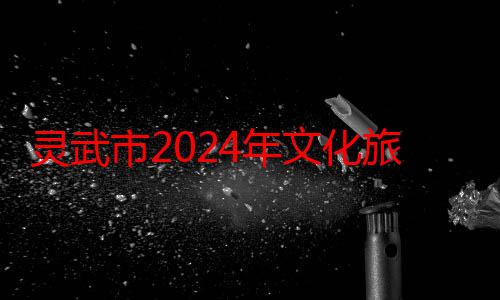 灵武市2024年文化旅游季系列活动盛情启幕