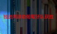 独进两球助葡萄牙队获胜 C罗迎来历史性时刻