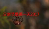 父亲节是哪一天2017，每年父亲节是哪一天（2016年父亲节）