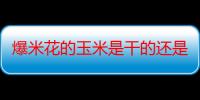 爆米花的玉米是干的还是湿的 爆米花的玉米需要清洗吗