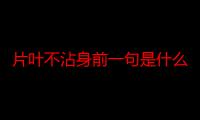 片叶不沾身前一句是什么意思（片叶不沾身前一句是什么）