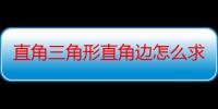 直角三角形直角边怎么求（直角三角形有几个直角边）