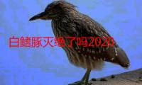 白鳍豚灭绝了吗2020年（白鳍豚灭绝了吗）