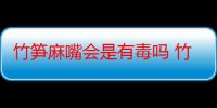 竹笋麻嘴会是有毒吗 竹笋麻嘴还能吃吗