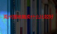 禹州摆地摊卖什么比较好（新手摆地摊卖什么好）