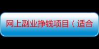 网上副业挣钱项目（适合负债者的10个副业）