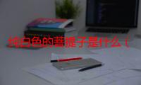 纯白色的菩提子是什么（白色的菩提子是什么菩提）