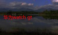 华为watch gt 2e有几个颜色 华为Watch GT 2e配置怎么样