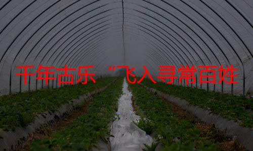 千年古乐“飞入寻常百姓家”——河南博物院推动优秀传统文化创新性发展