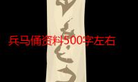 兵马俑资料500字左右-生活常识