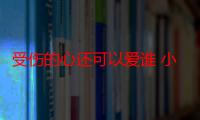 受伤的心还可以爱谁 小眼鑫（受伤的心还可以爱谁）