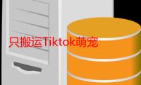 只搬运Tiktok萌宠类视频，1部手机即可。适合所有短视频平台均，月入3W+