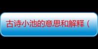 古诗小池的意思和解释（古诗小池的意思是什么）