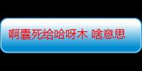 啊囊死给哈呀木 啥意思（啊囊死给）