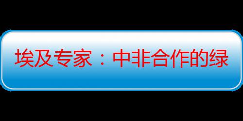 埃及专家：中非合作的绿色能源项目为非洲大陆发展提供巨大动力