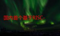 国内首个基于RISC-V架构研发车规级芯片，长城紫荆 M100 芯片点亮