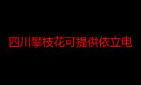 四川攀枝花可提供依立电饭煲维修服务地址在哪