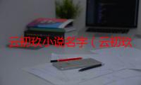 云初玖小说名字（云初玖真实身份是什么）