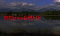 京东plus会员618优惠券能买手机吗