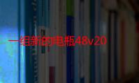 一组新的电瓶48v20 A能跑多远（电瓶48v20a跑多少公里）