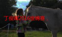 丁俊晖2016世锦赛，2016年丁俊晖世锦赛历程（丁俊晖2016世锦赛之旅）