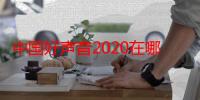 中国好声音2020在哪个平台播放（浙江卫视播放）