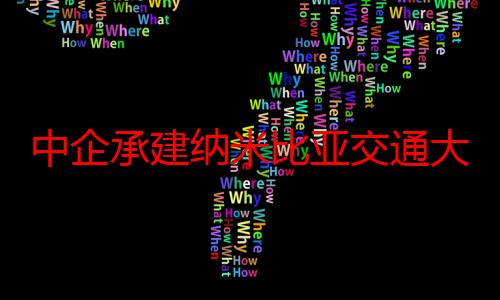 中企承建纳米比亚交通大动脉举行通车仪式