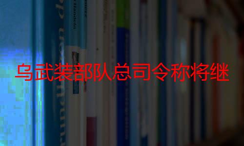 乌武装部队总司令称将继续在乌边境地区扩大控制范围