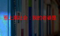 惹上黑社会：我的老婆是大佬（关于惹上黑社会：我的老婆是大佬介绍）