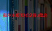 戴尔主板怎样设置u盘启动（戴尔主板如何设置u盘启动）