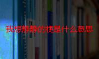 我想静静的梗是什么意思（别找我及我想静静及也别问我静静是谁）