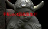 手机root后会发生什么（手机root后会有什么副作用）