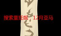 搜索量狂飙，12月亚马逊5大热销产品来袭