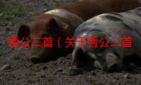 曹公二首（关于曹公二首介绍）