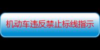 机动车违反禁止标线指示的13452（1345100机动车违反禁止标线指示代码什么意思）