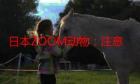 日本ZOOM动物：注意收集并分析敌人的行动模式