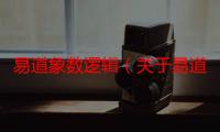 易道象数逻辑（关于易道象数逻辑介绍）