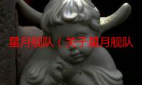 星月舰队（关于星月舰队介绍）