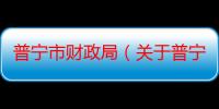 普宁市财政局（关于普宁市财政局介绍）