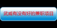 武威有没有好的兼职项目（武威近期的重大项目）