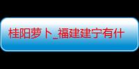 桂阳萝卜_福建建宁有什么好吃的推荐嘛-美食特产