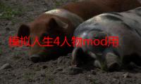 模拟人生4人物mod用不了（模拟人生4人物mod怎么用）