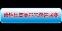 泰格伍兹高尔夫球巡回赛08（关于泰格伍兹高尔夫球巡回赛08介绍）