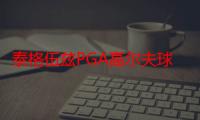 泰格伍兹PGA高尔夫球巡回赛（关于泰格伍兹PGA高尔夫球巡回赛介绍）