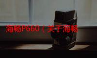 海畅P660（关于海畅P660介绍）