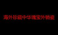 海外珍藏中华瑰宝外销瓷（关于海外珍藏中华瑰宝外销瓷介绍）