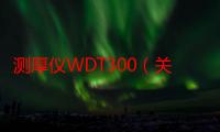 测厚仪WDT300（关于测厚仪WDT300介绍）